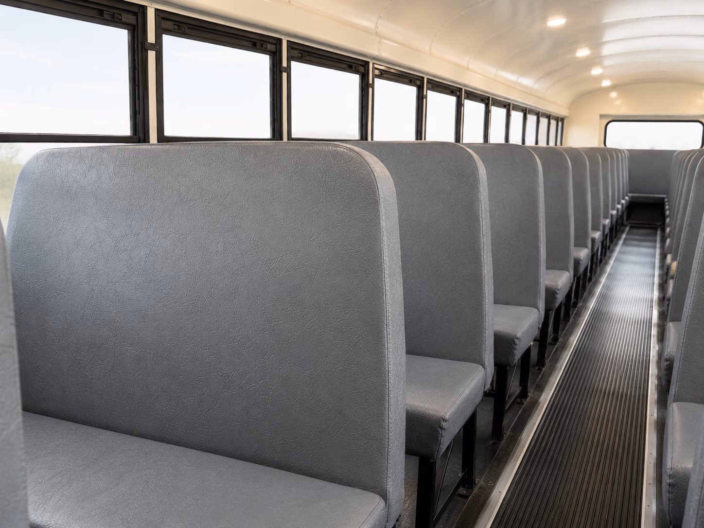 clinton school buses for toledo zoo and aquarium day trips